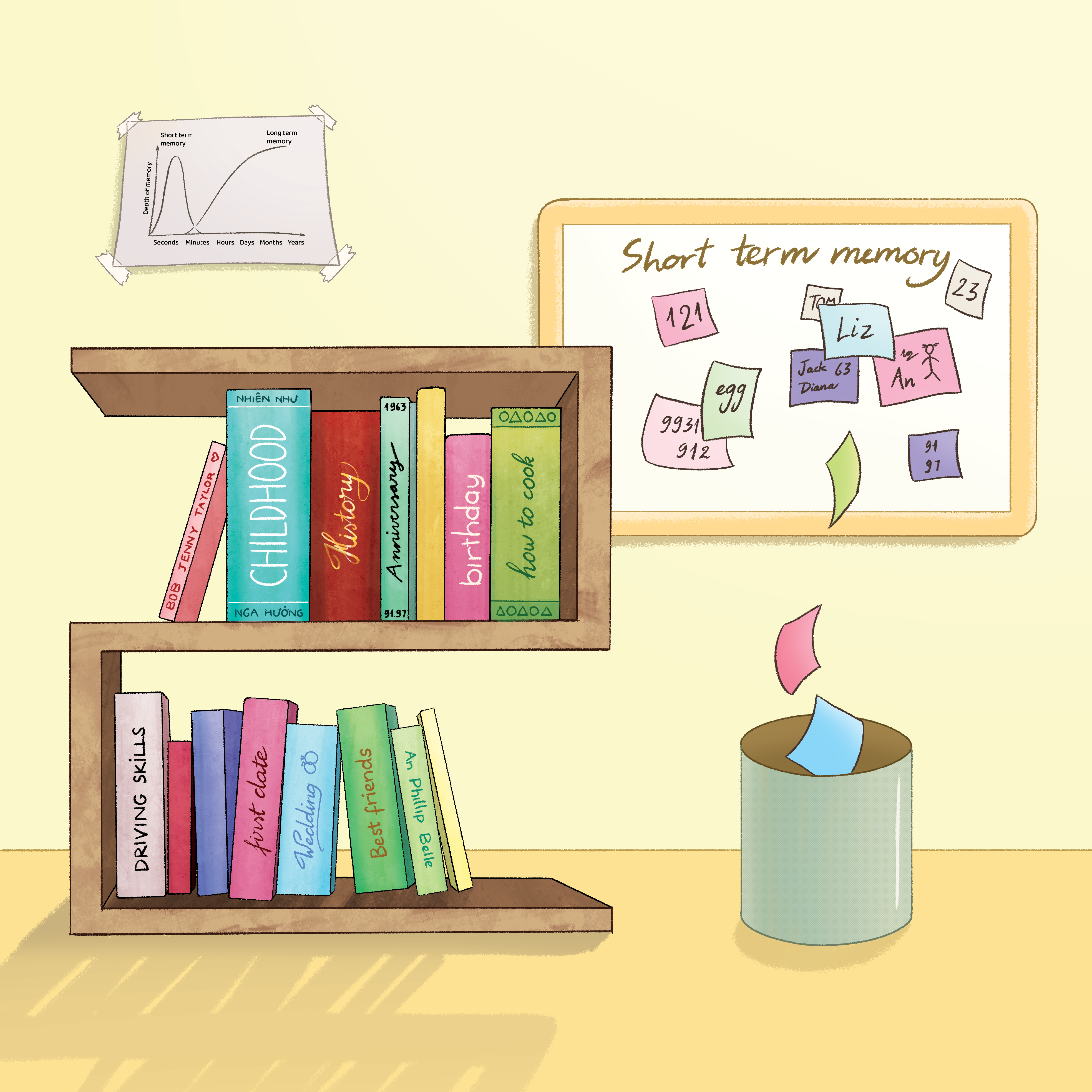 Memory organization illustration